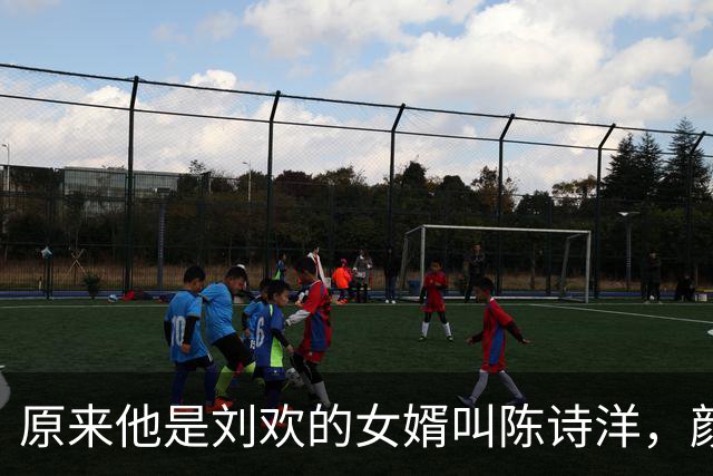 原来他是刘欢的女婿叫陈诗洋，颜值能力双在线，难怪抱得美人归