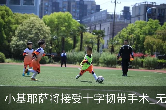 小基耶萨将接受十字韧带手术 无缘世预赛附加赛