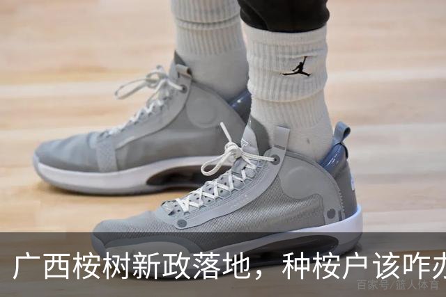 广西桉树新政落地，种桉户该咋办？