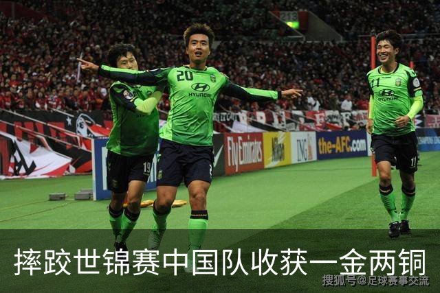 摔跤世锦赛中国队收获一金两铜