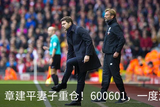 章建平妻子重仓！600601，一度涨停
