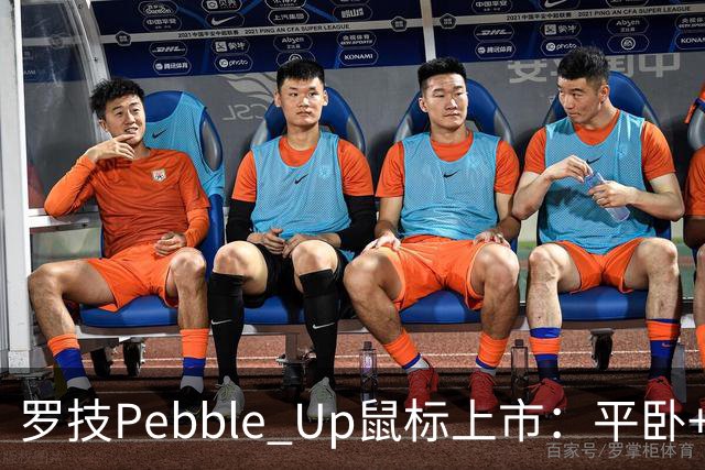 罗技Pebble Up鼠标上市：平卧+ 35°斜卧双形态，到手价251.1元
