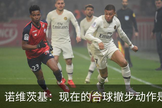 诺维茨基：现在的合球撤步动作是从火箭登开始的 已经有点失控了