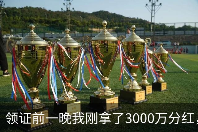 领证前一晚我刚拿了3000万分红，女友转头讽刺我月入小几千不如她弟，我看着她，冷笑一声扭头就走