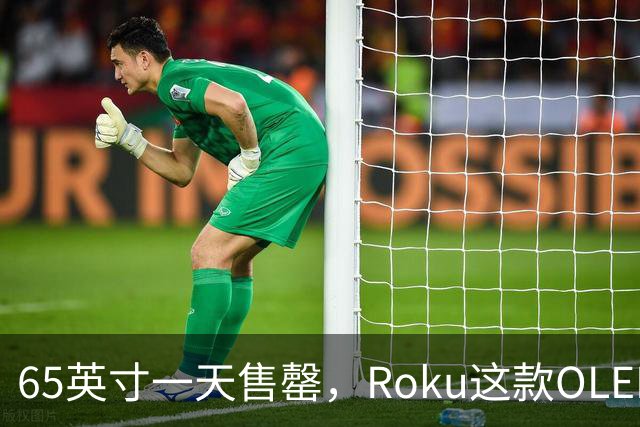 65英寸一天售罄，Roku这款OLED电视只剩55英寸