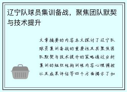 辽宁队球员集训备战，聚焦团队默契与技术提升